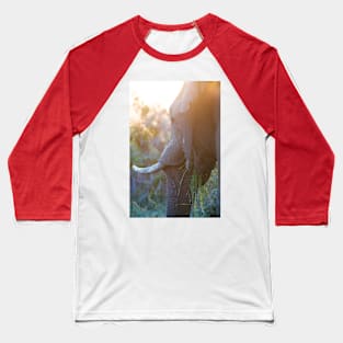 Wild life design Baseball T-Shirt